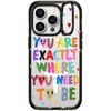 image:imageCASETiFY for iPhone 15 Pro Max Case  Impact Ring Stand MagSafe Compatible  Kickstand  66 ft 3x Military Grade Drop Protection  Beary Sweet  BlackYou Are Exactly