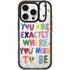 image:imageCASETiFY for iPhone 16 Pro Case  Impact Ring Stand MagSafe Compatible  Kickstand  66 ft 3x Military Grade Drop Protection  Eleanor by Ivory Paper Co  BlackYou are exactly