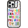 image:imageCASETiFY for iPhone 16 Pro Case  Impact Ring Stand MagSafe Compatible  Kickstand  66 ft 3x Military Grade Drop Protection  Eleanor by Ivory Paper Co  BlackYou are exactly