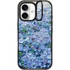 Nantucket Blue Hydrangeas