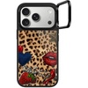 Patched Cheetah